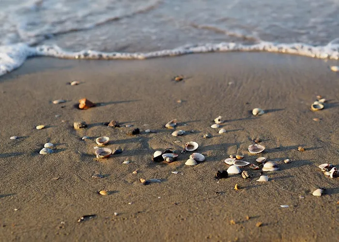 Lägenhet Adorable Flat With Large Terrace Overlooking The Sea *